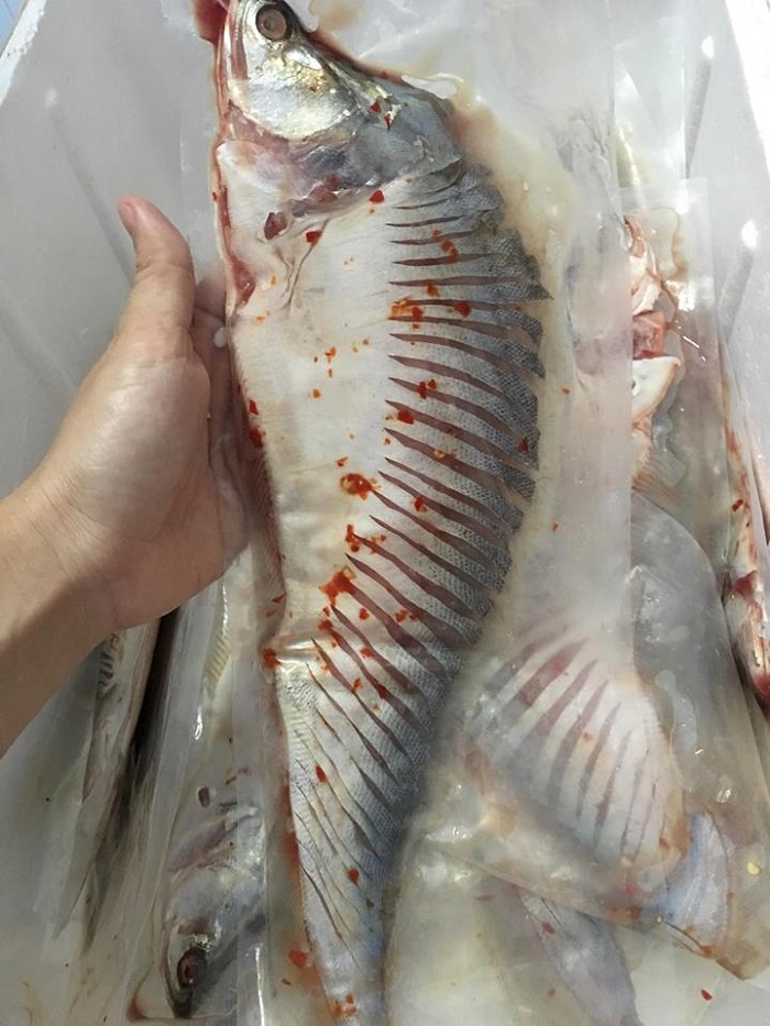 Cá-Thác-Lác-Rút-Xương-Tươi