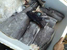 z6322700826021_39be63568da87b46cee5b2cf4294ae8f