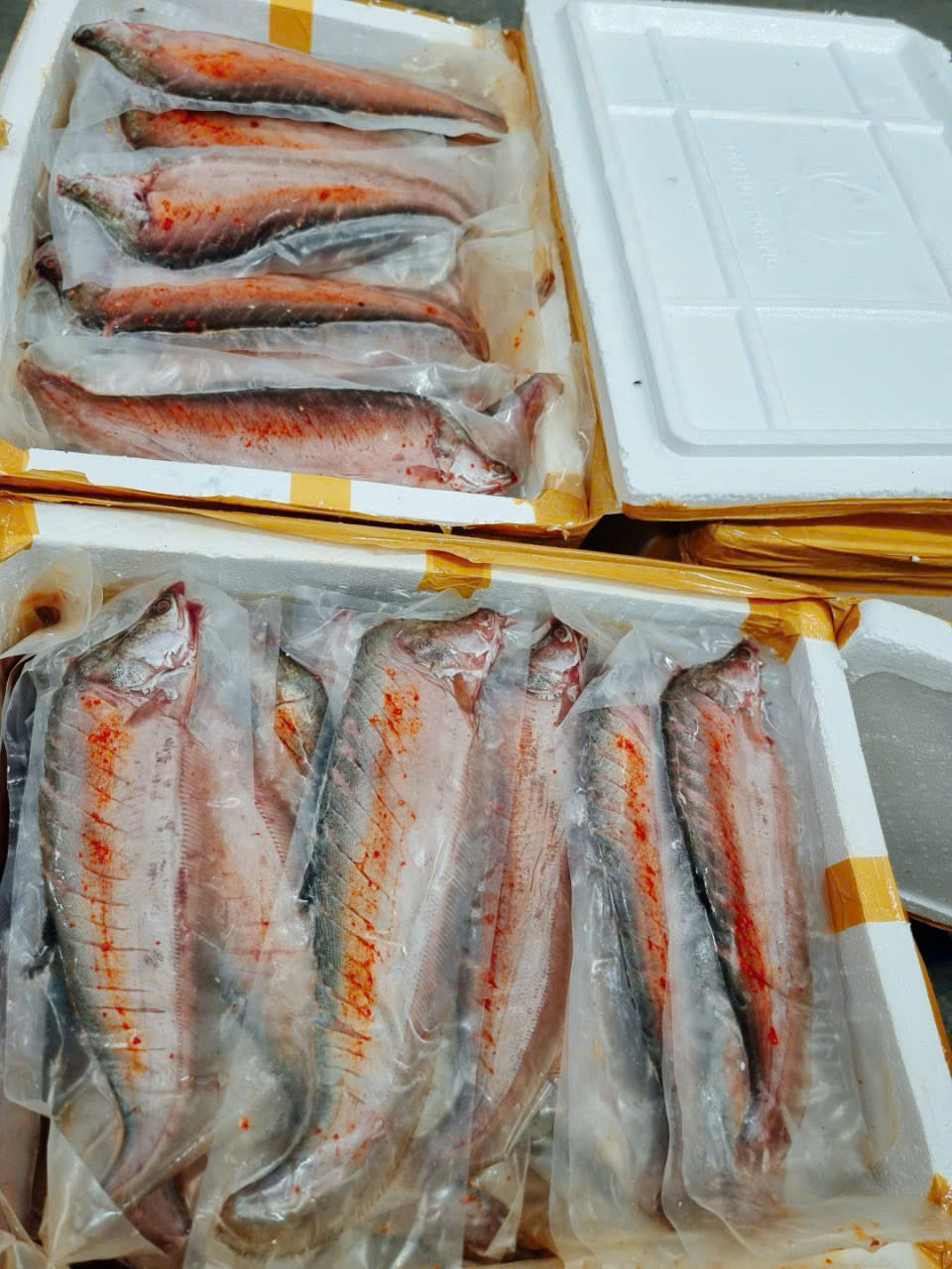 z6322809947501_bbe7f3810cd11a84f68bd7d0d4fe3f46